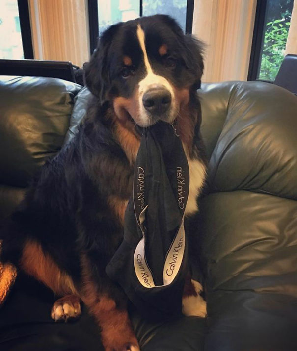 Here Dad I Got These For You For Father's Day