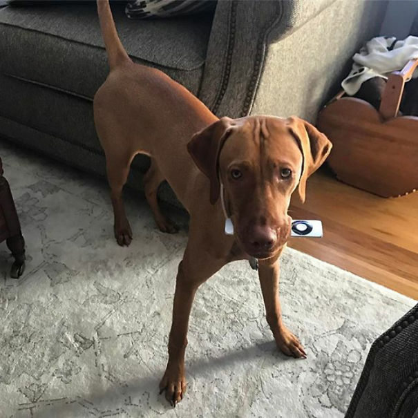 I'm Sick Of All This West World And Bachelorette Nonsense. It's Time To Take Matters Into My Own Hands