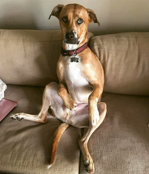 He Just Sits Around All Day Waiting For Me To Get Home