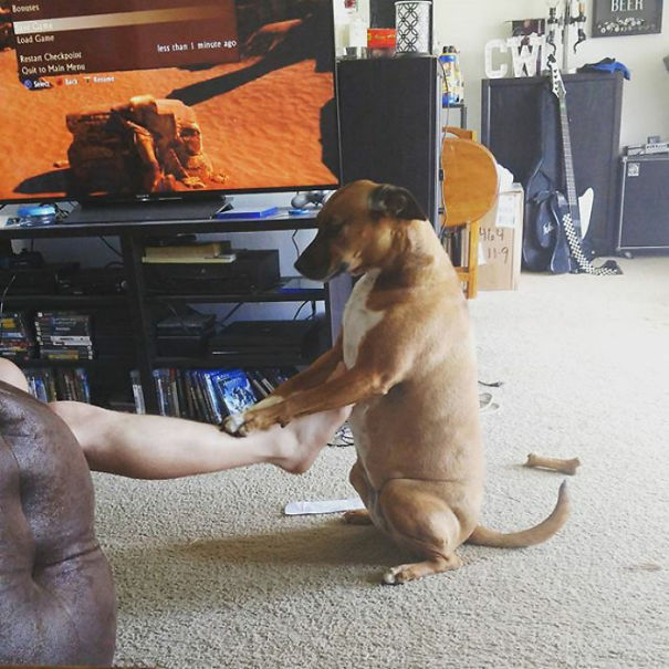 No Idea What's Going On Here