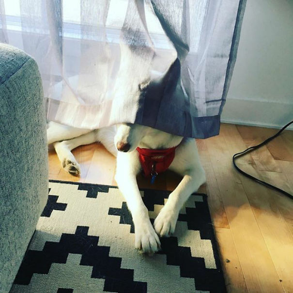 She's Just A Little Bit Weird Sometimes