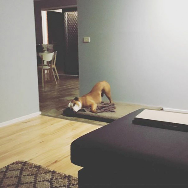 Stop Being Weird Please, Now