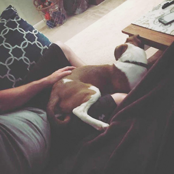 Shadow How Is That Comfortable?!