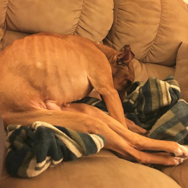 Kado Is So Weird!! He Was Sitting Like This For A Good 20 Minutes