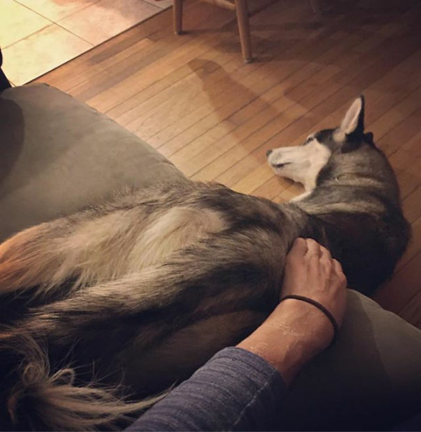 When You Fall But You're Lazy So You Don't Bother Get Up