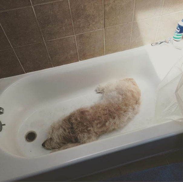 Caught Sleepin In The Bathtub After A 5.5 Mile Hike In 80 Degree Heat