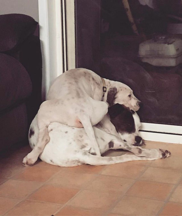 This Is Just How He Went To Sleep Last Night