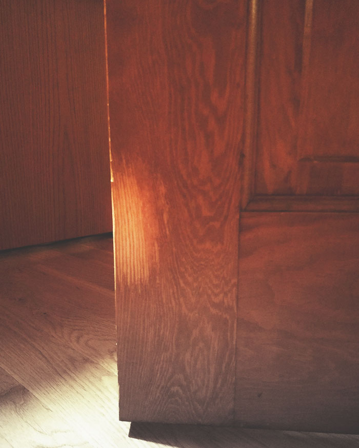 12 Years Of My Dog Using Her Paw To Open The Door