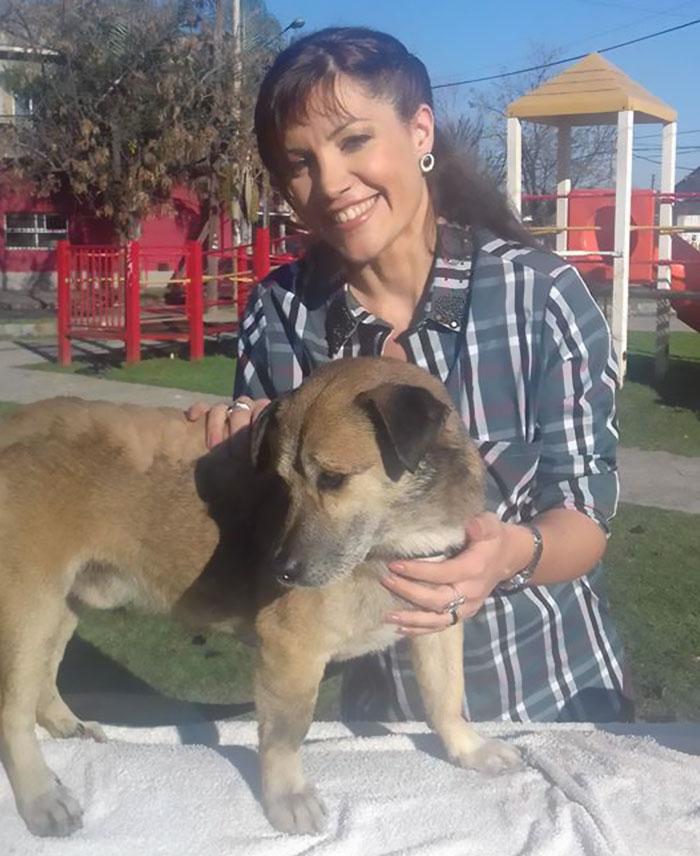 two-boys-save-dog-covered-tart-petro-argentina-18