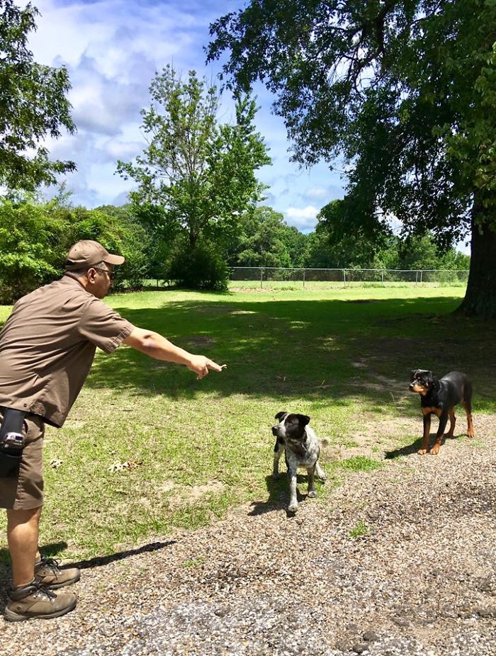 UPS Driver Is Caught Taking Selfies With Dogs