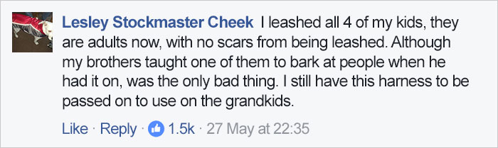 Dad's Explanation Why He Puts His Toddler On A Leash Goes Viral, And He Has A Point Dad's Explanation Why He Puts His Toddler On A Leash Goes Viral, And He Has A Point