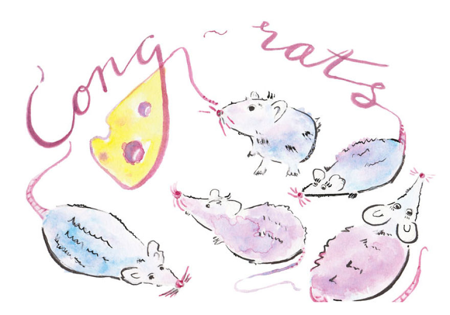 You Did It! Cong-rats!