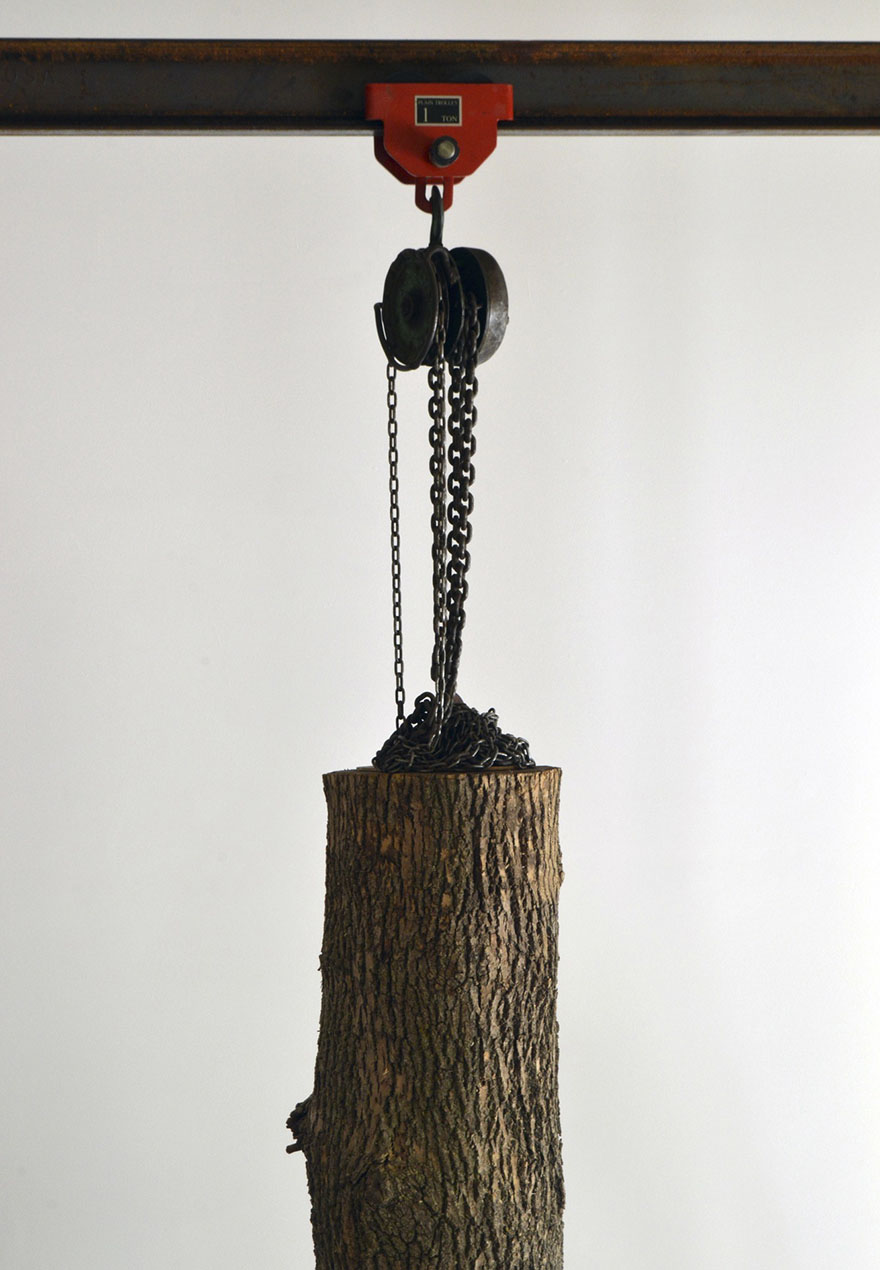 Giant Tree Trunk Carved Down To Frayed Rope By Maskull Lasserre