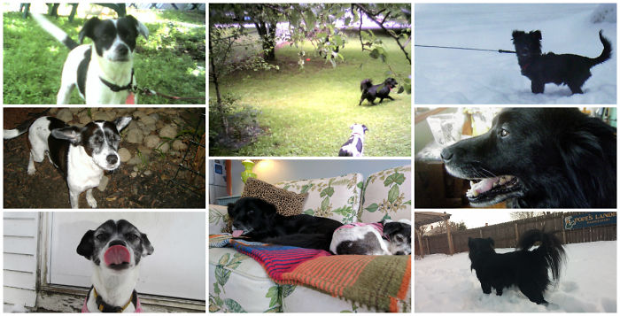 Lola And Zack - 2002 To 2017