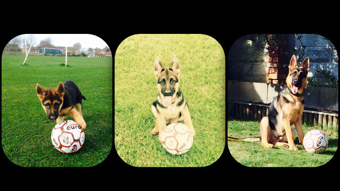 Zeus 3 Month, 6 Month & 1 Year