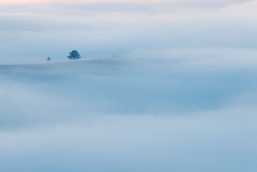 In The Fog