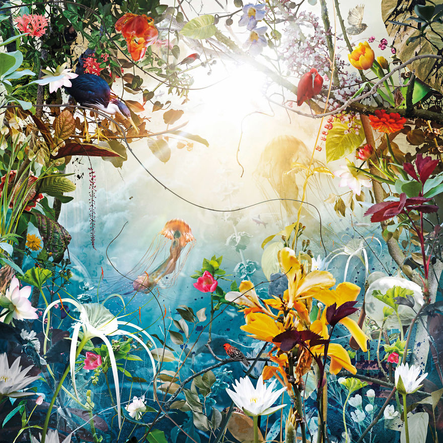 Dutch Artist Uses Nature To Express Emotion Dutch Artist Uses Nature To Express Emotion