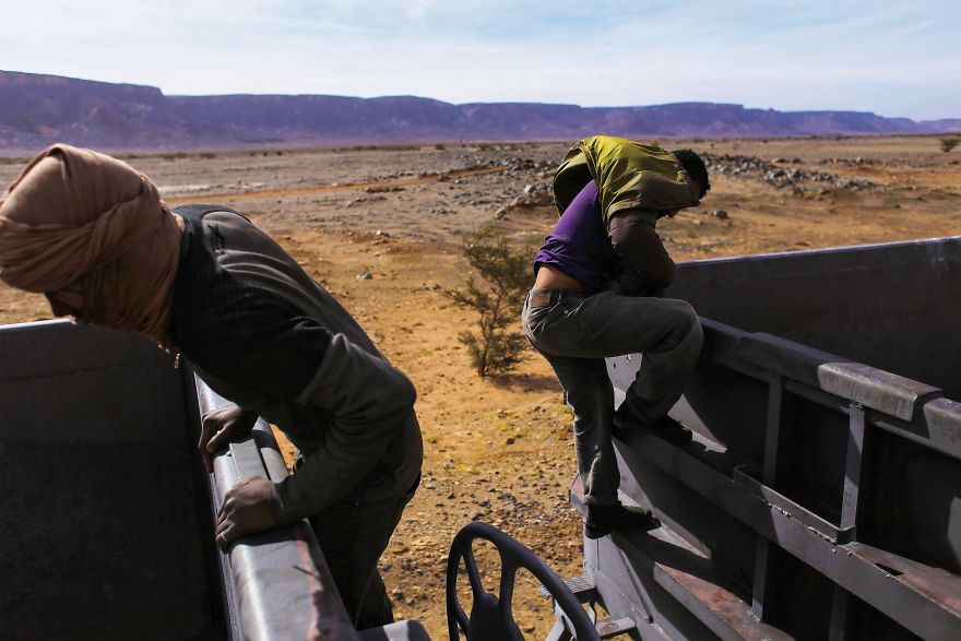 Freight Train Hopping In Mauritania: 4000 Kilometers In A Cargo Carriage With Local Shepherds And Their Sheep