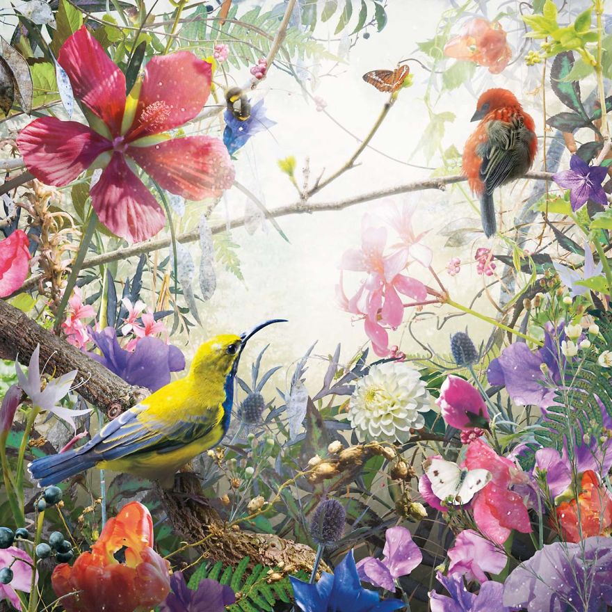 Dutch Artist Uses Nature To Express Emotion