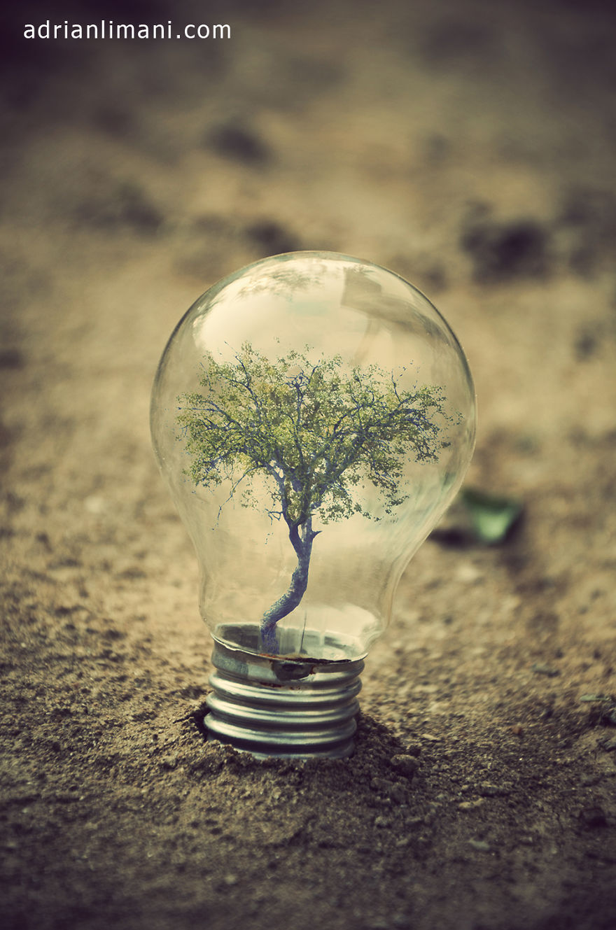 My Photo Project 'Life Inside A Light Bulb'