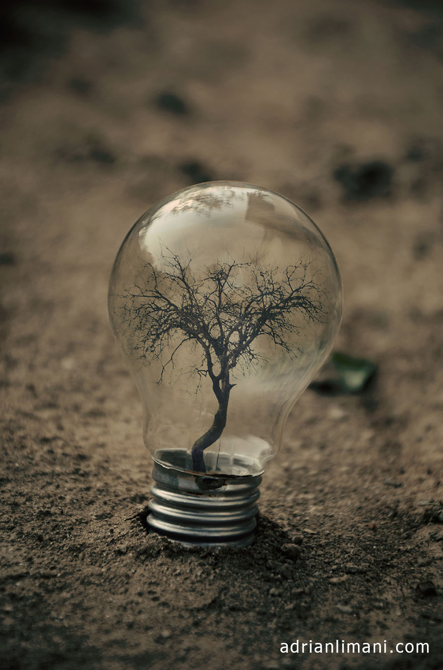 My Photo Project 'Life Inside A Light Bulb'