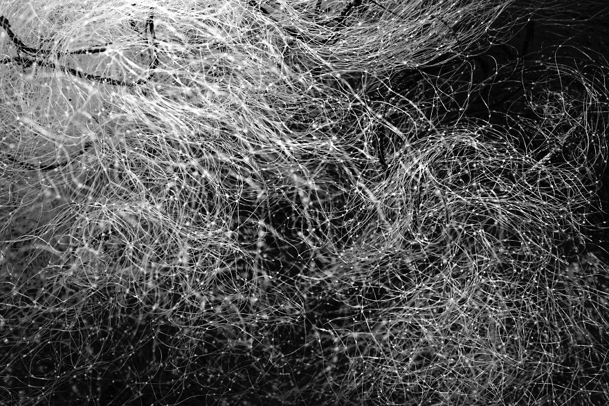 Nets Like Infinite Thoughts .