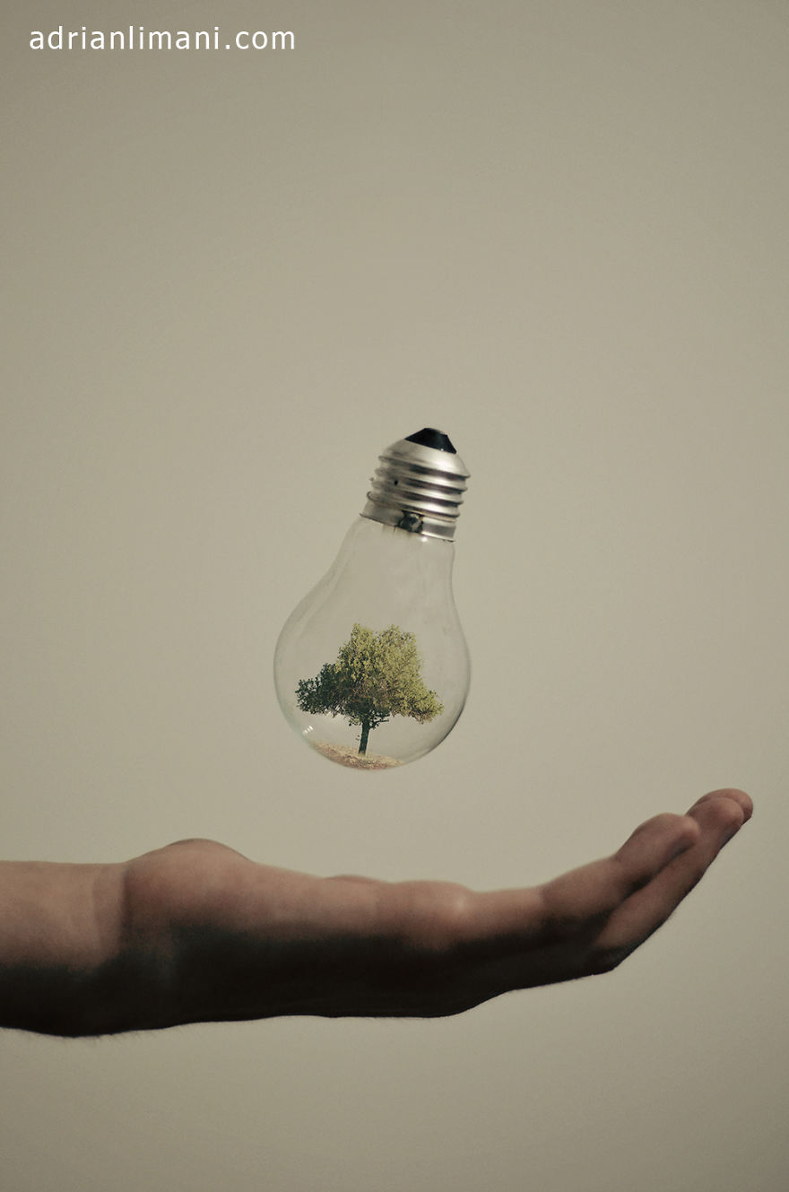 My Photo Project 'Life Inside A Light Bulb'