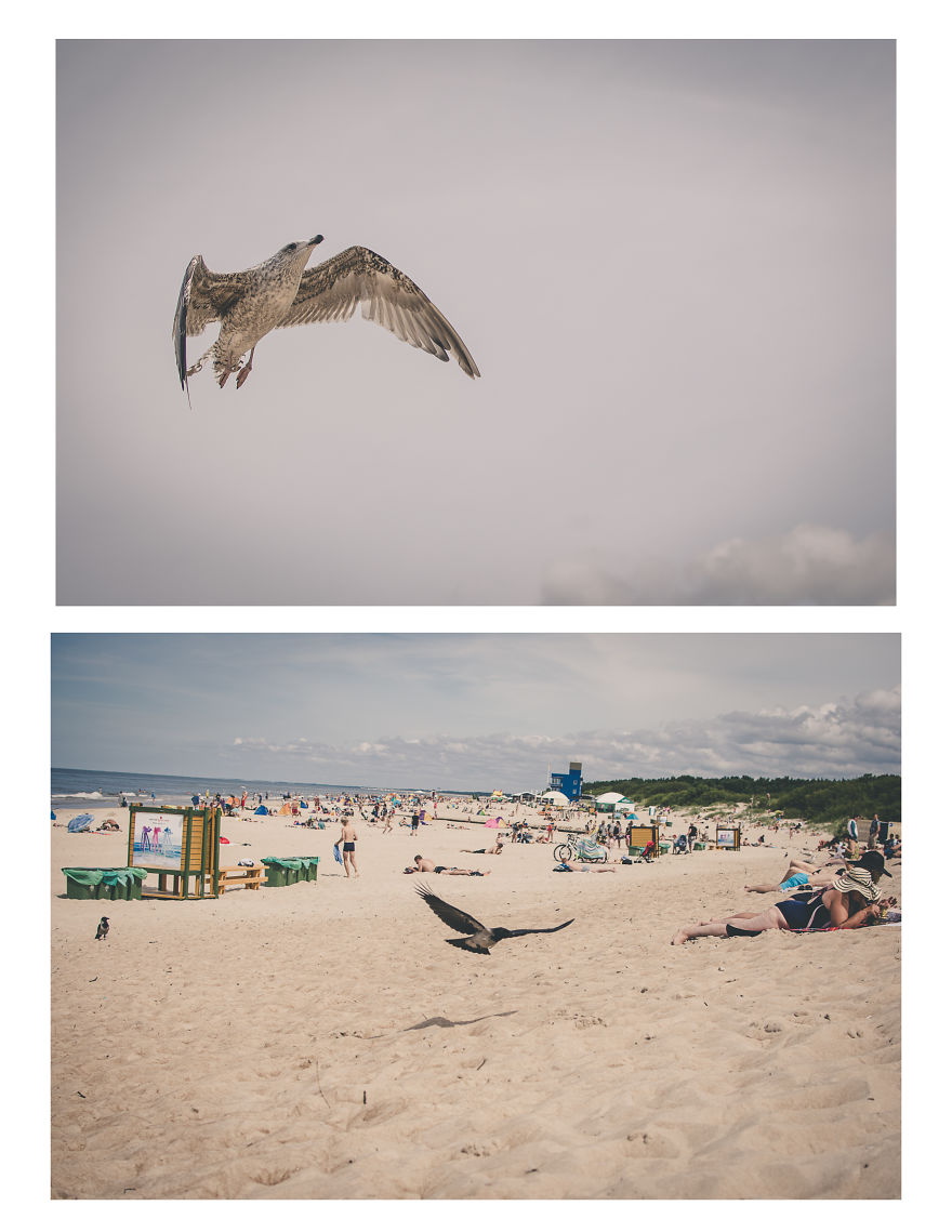 City By The Sea Coast - Palanga!