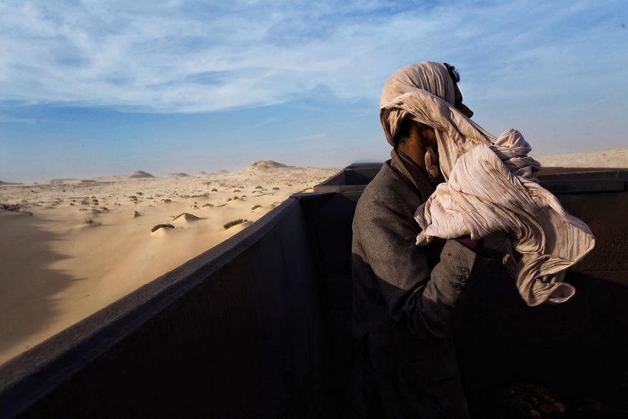 Freight Train Hopping In Mauritania: 4000 Kilometers In A Cargo Carriage With Local Shepherds And Their Sheep
