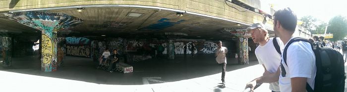 The Best Skater In The World