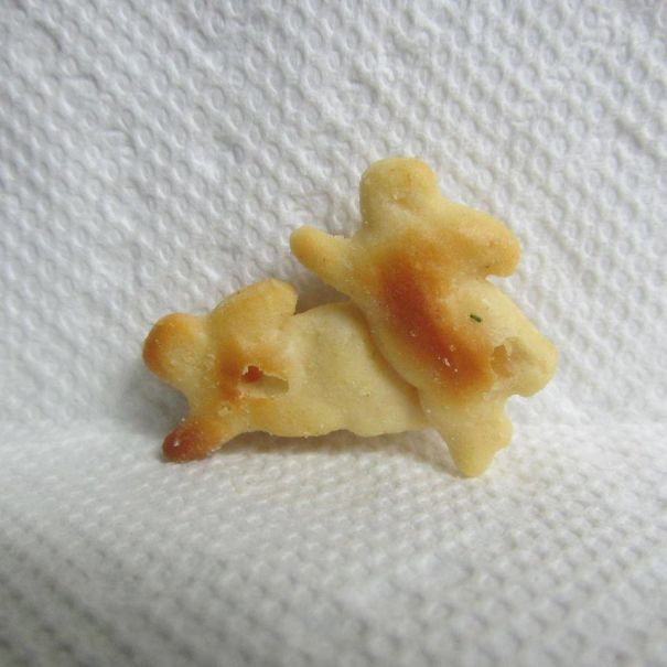 I Always Wondered How All Those Bunny Crackers Got Made!