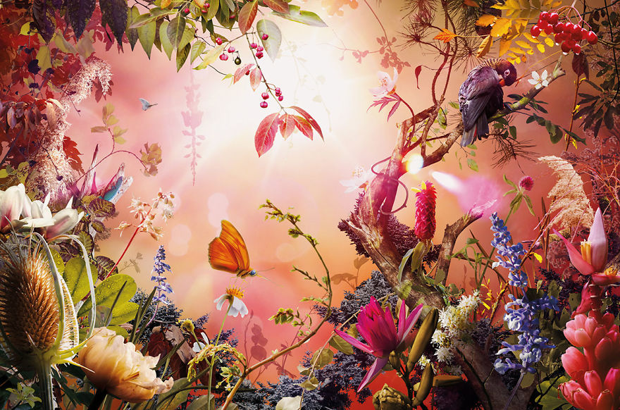 Dutch Artist Uses Nature To Express Emotion