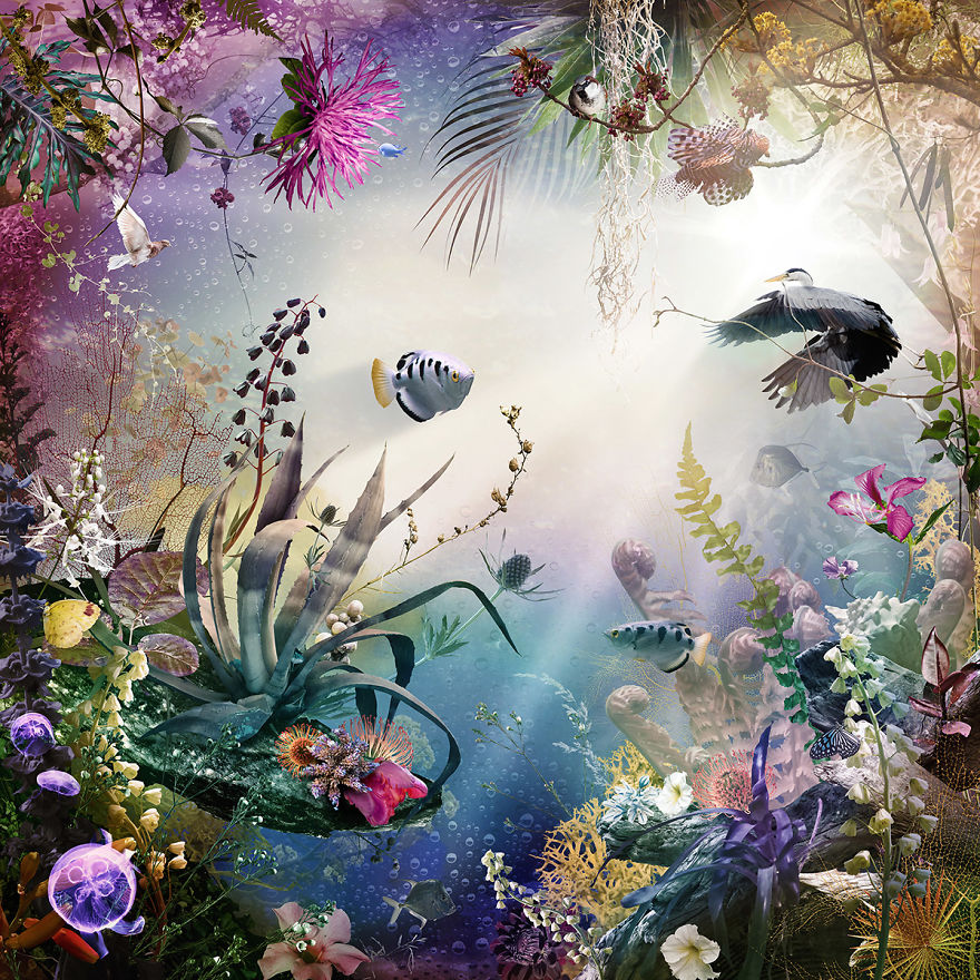 Dutch Artist Uses Nature To Express Emotion Dutch Artist Uses Nature To Express Emotion