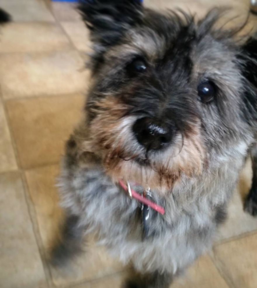 Bailey-sue, 14 Years Old.