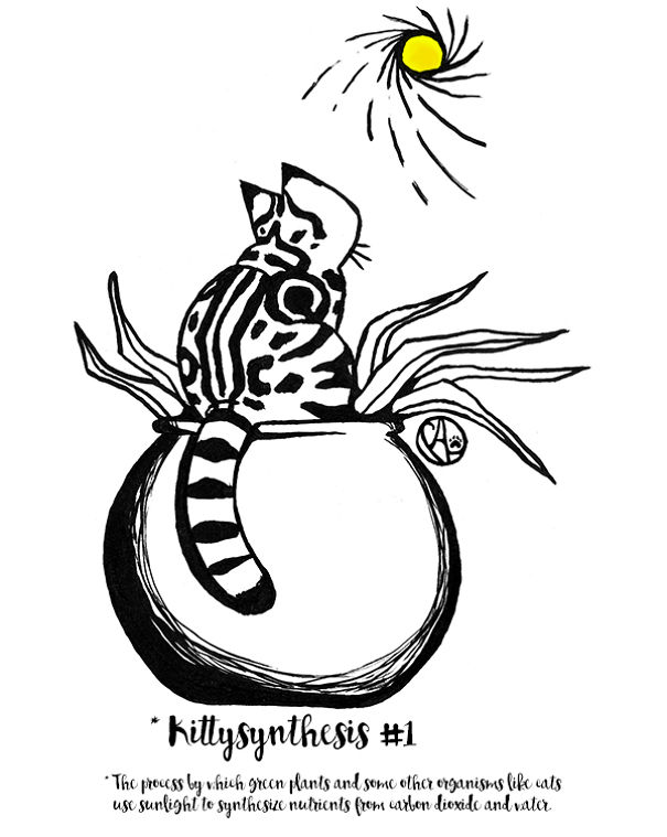 We Have Lost So Many Plants...