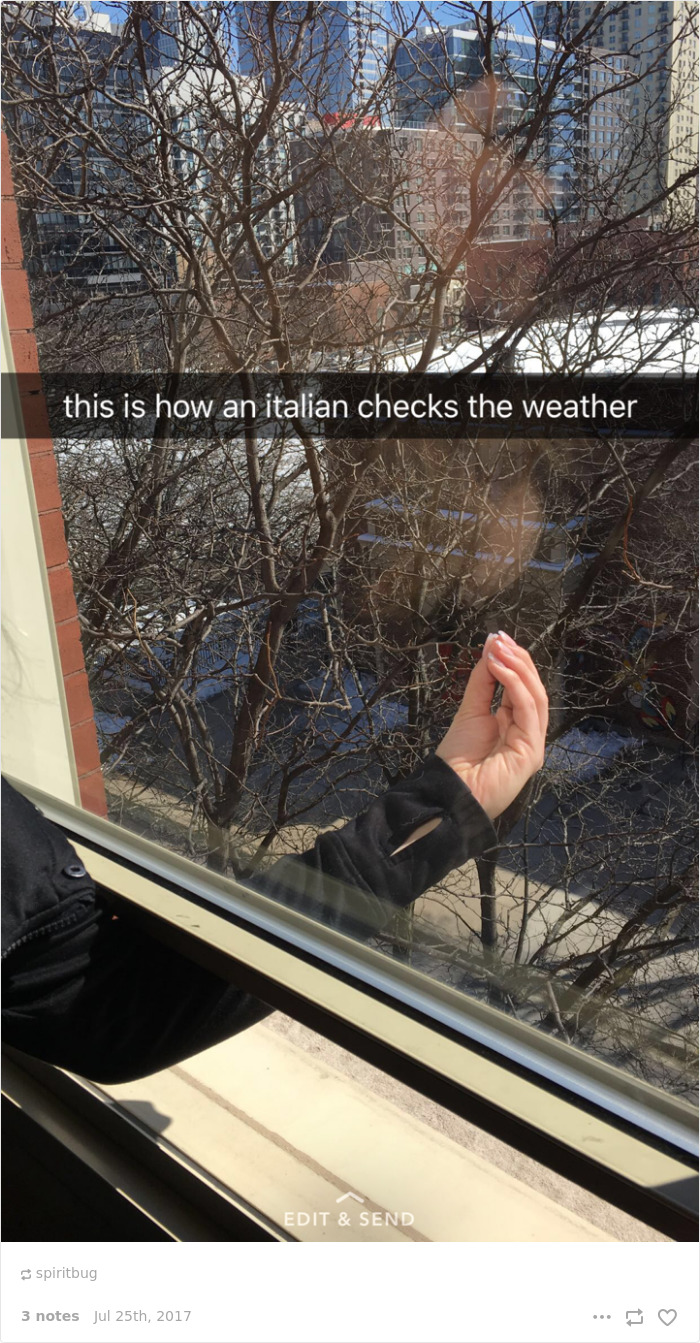Italina checking the weather with italian gesture meme 