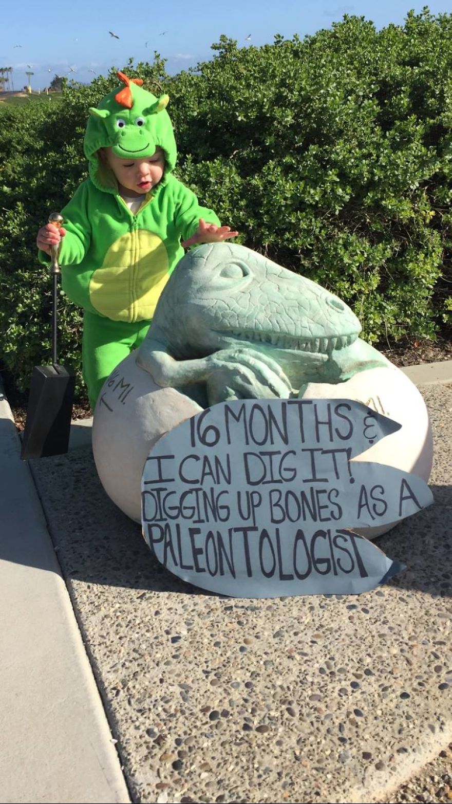 Career Aspirations At The Forefront