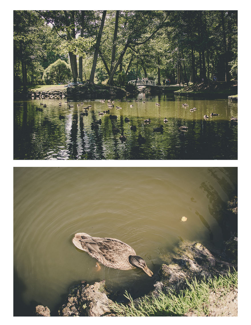 City By The Sea Coast - Palanga!