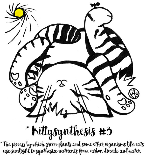 While They Do Their Kittysynthesis Thing....
