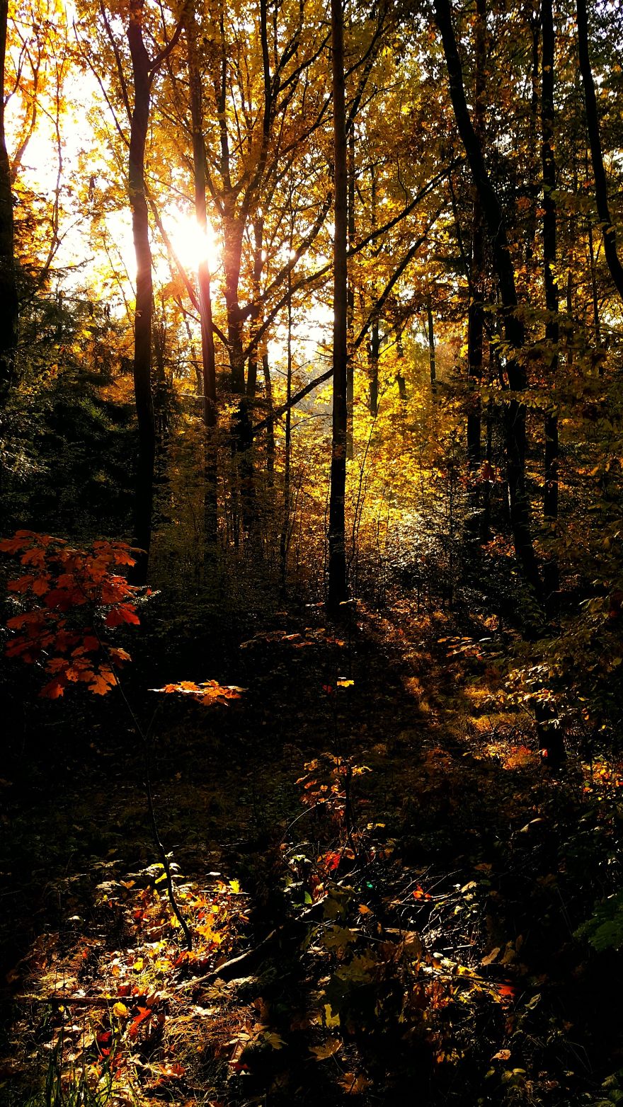 I Want To Show The Beauty Of Poland Using Smartphone (Part 2) I Want To Show The Beauty Of Poland Using Smartphone (Part 2)