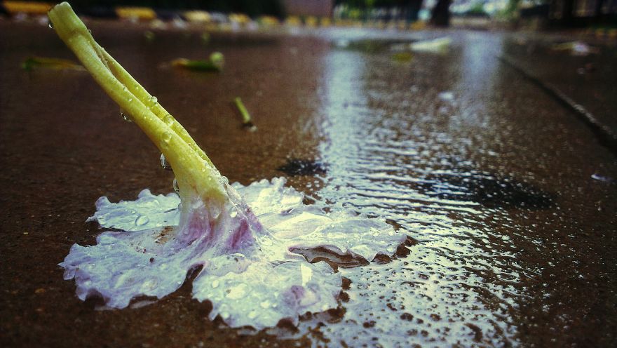 When You Have A 140$ Phone But Passion To Turn It Into A 1000$ Camera