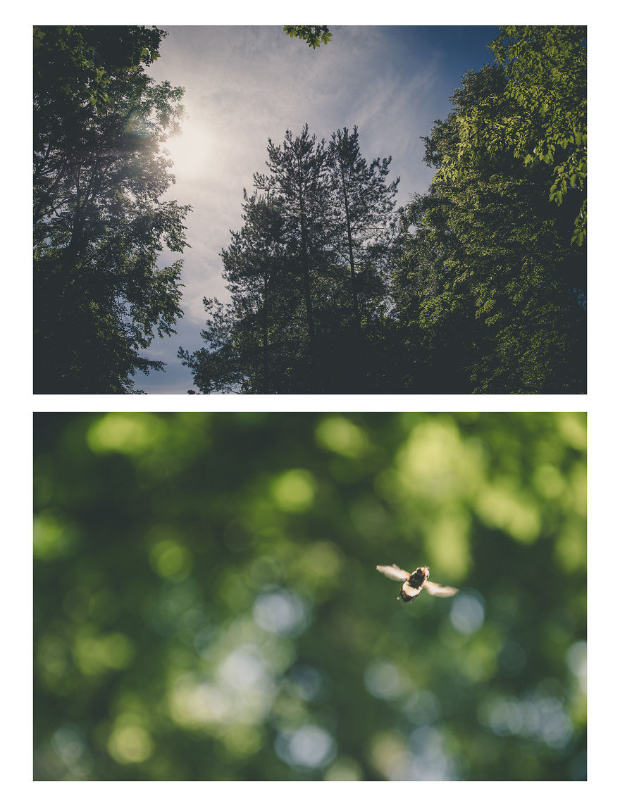 City By The Sea Coast - Palanga!