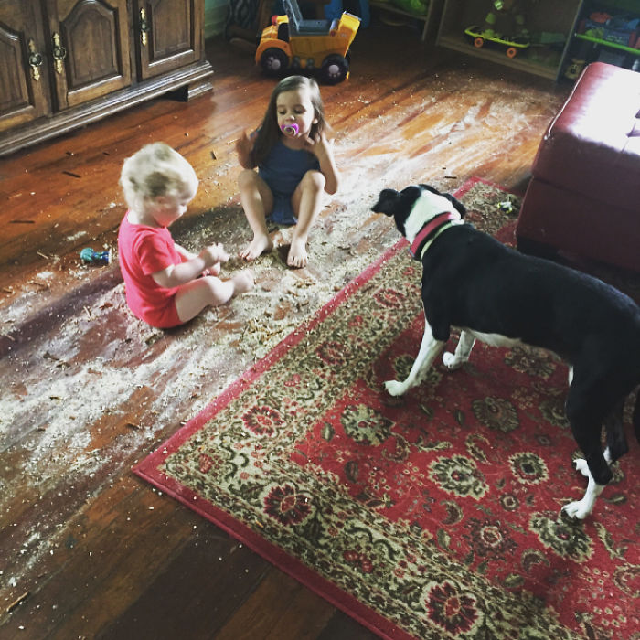 When You Kick The Kids Out Of The Kitchen When Getting Dinner Ready, And The Big One Grabs A Bag Of Pretzels You Walk Out To This