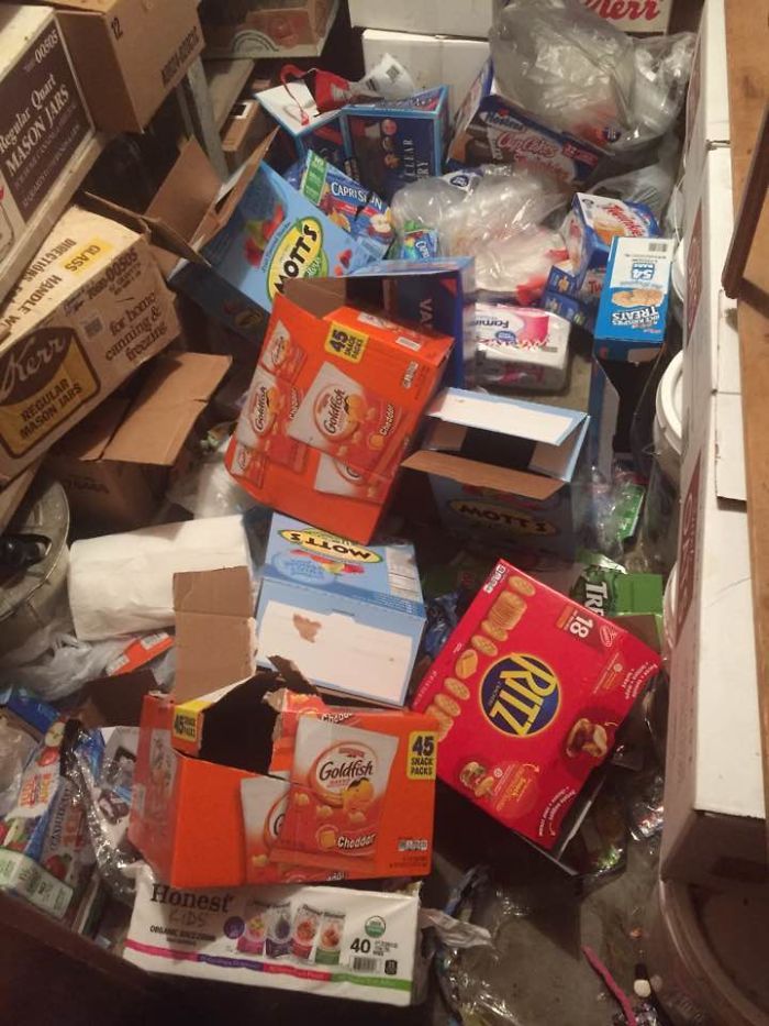 When The Kids And The Friends Get Too Quiet