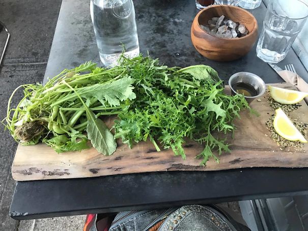 Ordered A "living Salad"- Did Not Expect This.