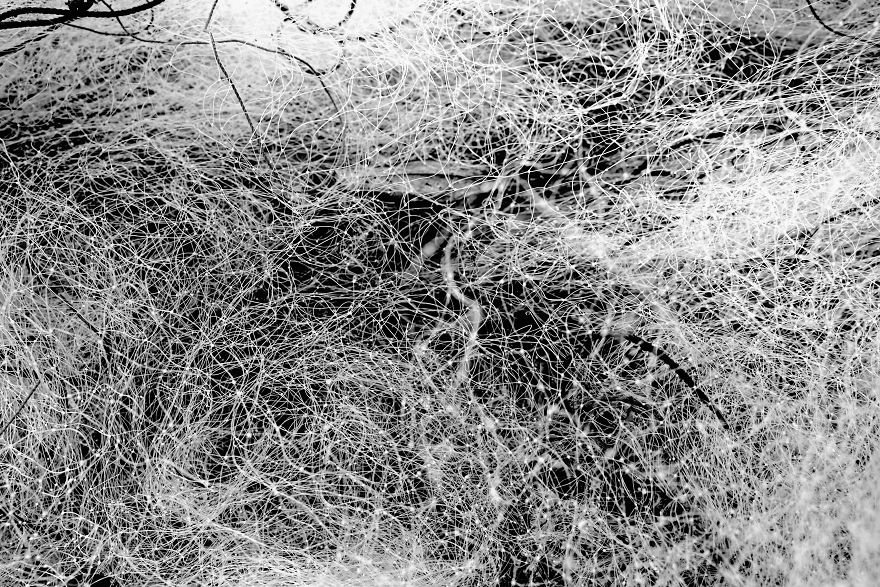 Nets Like Infinite Thoughts .