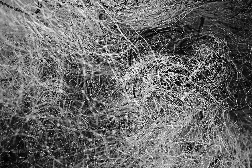 Nets Like Infinite Thoughts .