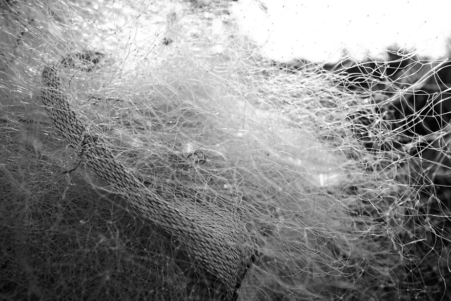 Nets Like Infinite Thoughts .