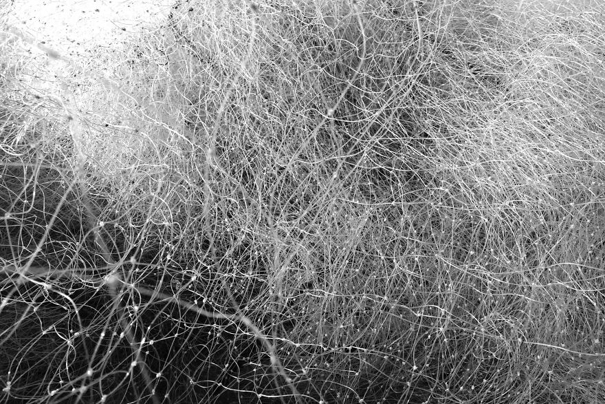 Nets Like Infinite Thoughts .