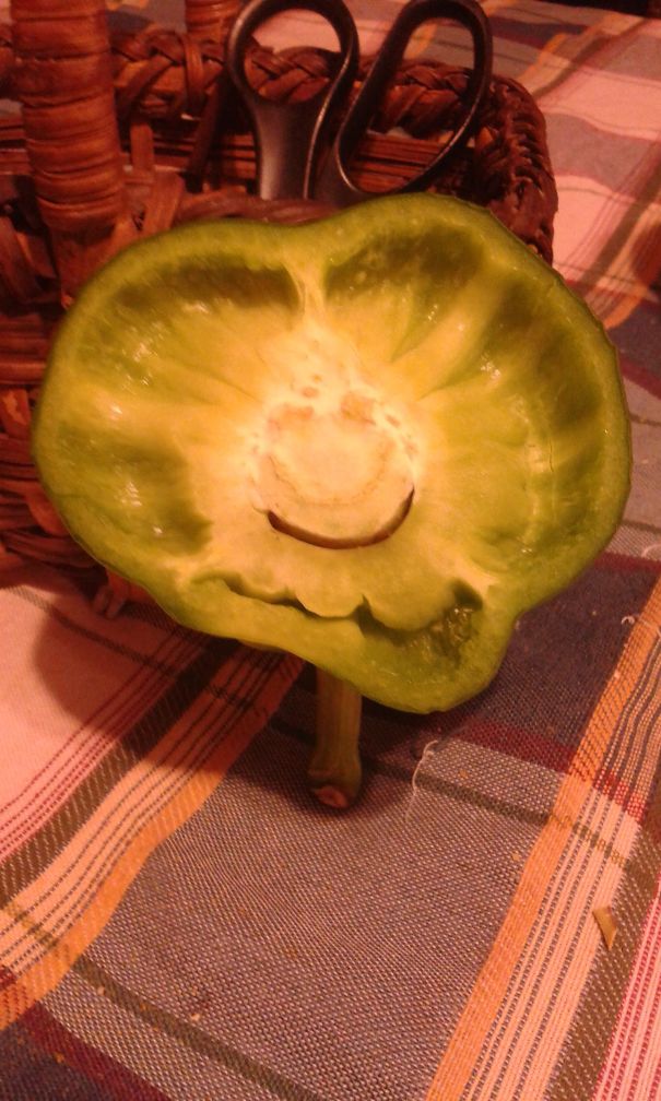 Was Having A Bad Day At Work Till I Found This.